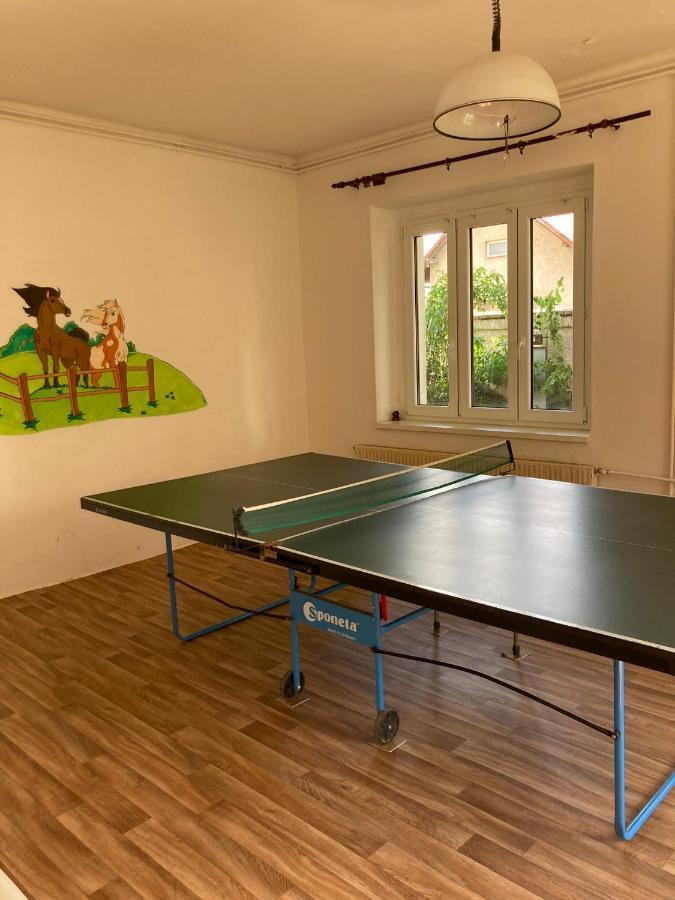 Prijemny Apartman Se Zahradou Ostresany Exterior photo